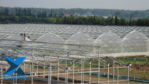 سازه گلخانه، تولیر تجهیزات گلخانه ای شرکت بین المللی زانوس